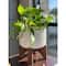 Flora Bunda 7" Roman Ceramic Planter With Wood Stand